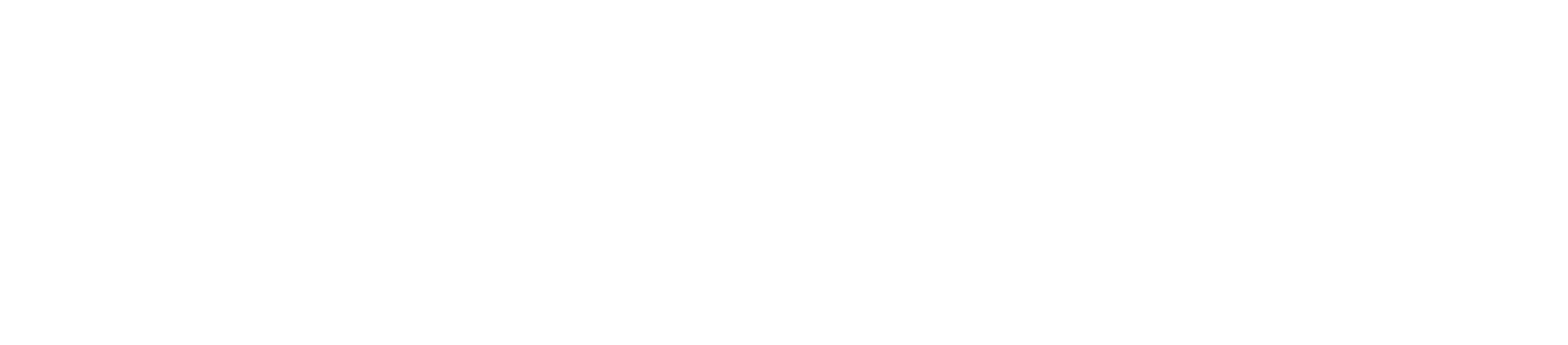 Voluntarios timeline