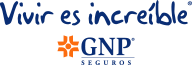 GNP